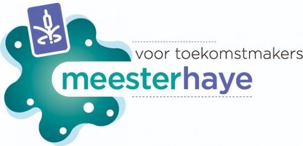 Leerkracht Meester Haye