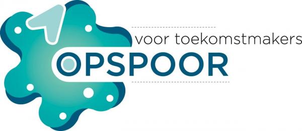 Adviseur P&O